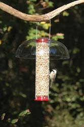 Mesh Peanut Feeder with Peanuts