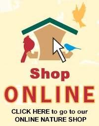 Shop Online
